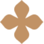 AURIKA logo