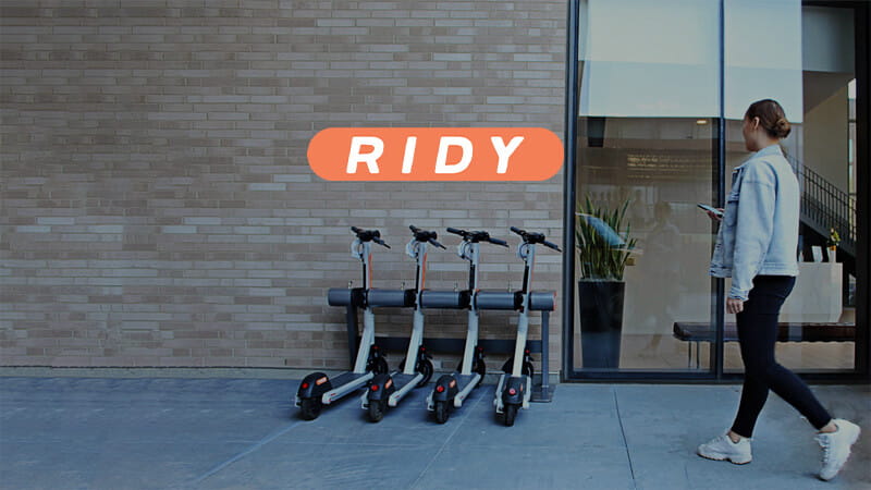 Ridy Inc cover picture