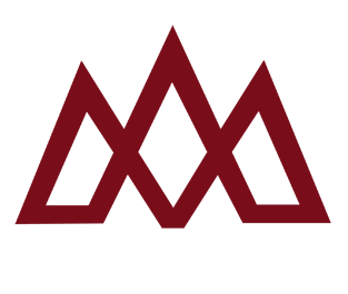 Megamet Steels Pvt Ltd's logo