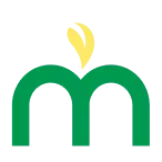 Morganstek logo