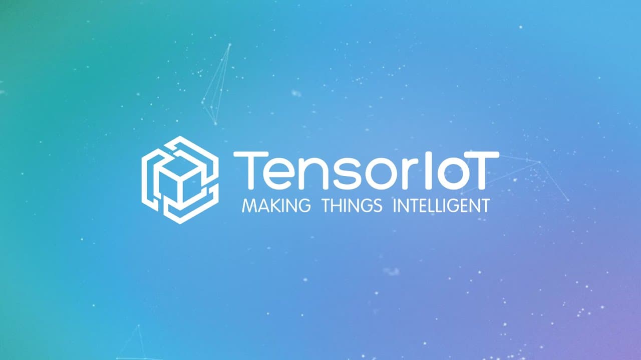 TensorIoT Software Services Private Limited, India's video section